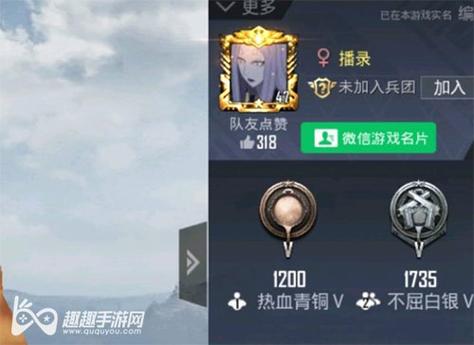 和平精英辅助【特种兵】